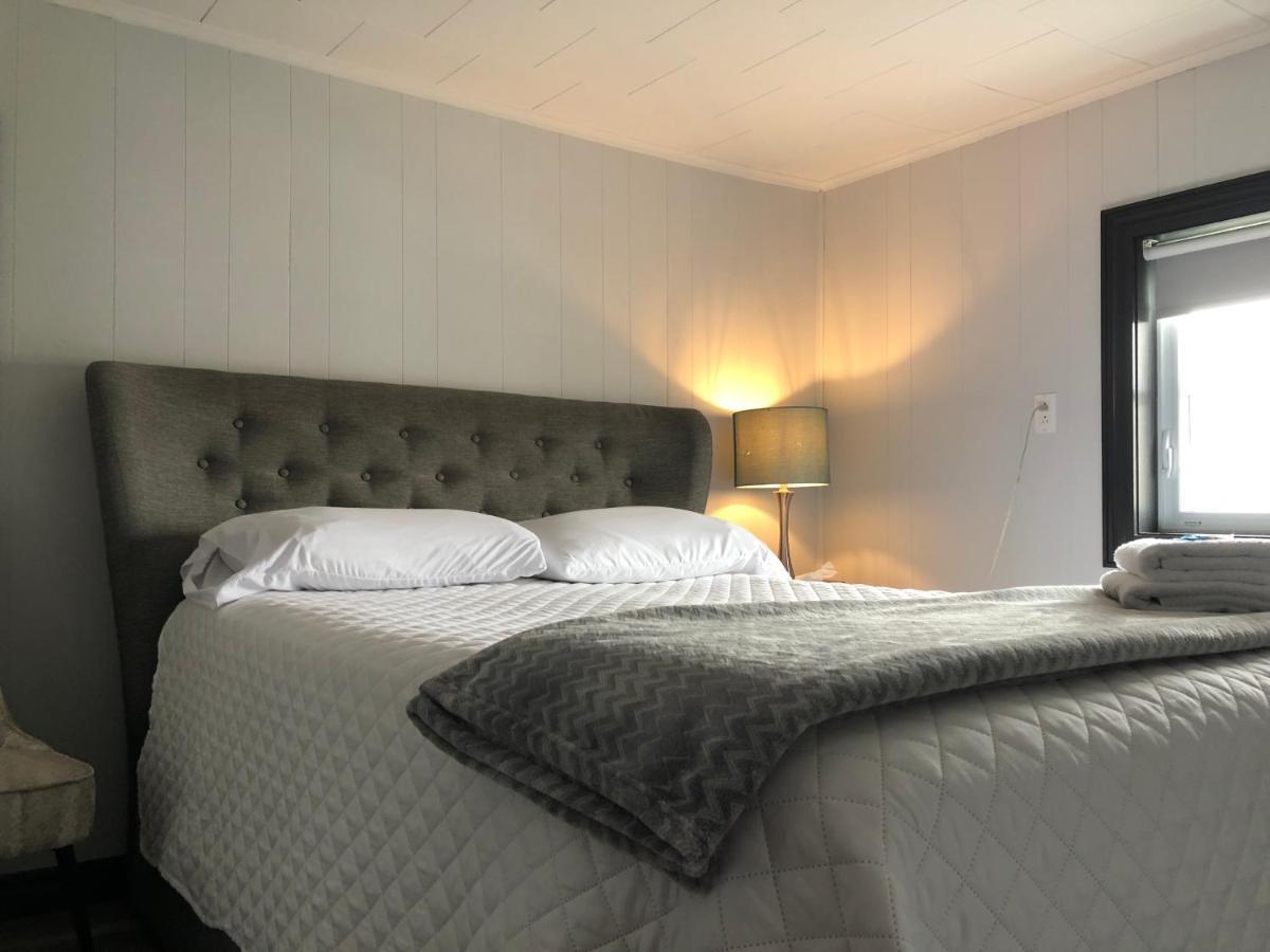 Alma'S Cape Shore Cottage! Your Home Away From Home! Bonavista Zewnętrze zdjęcie